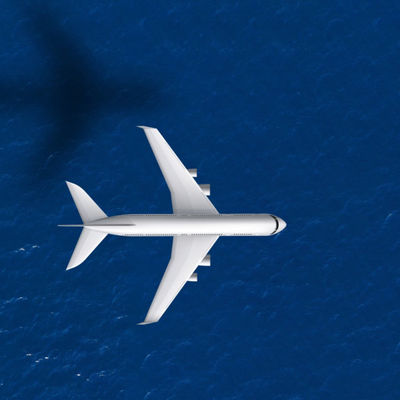 陶磁器の航空貨物の運送業者